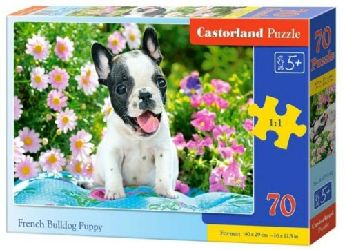 Castorland B-070152 - Francia bulldog kiskutya - 70 db-os puzzle