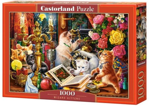 Castorland 1000 db-os puzzle - Varázsló cicák (C-104857)