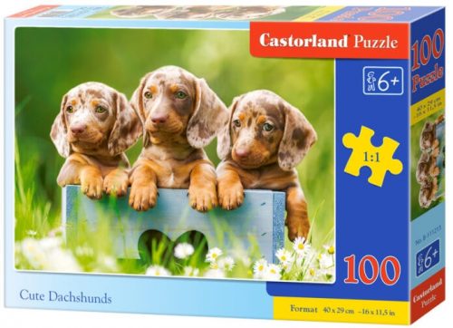 Castorland 100 db-os puzzle - Aranyos tacskók (B-111213)