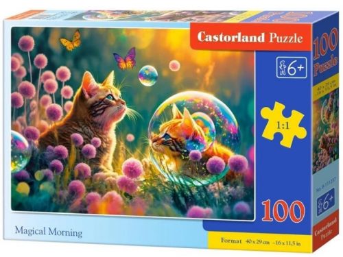 Castorland 100 db-os puzzle - Varázslatos reggel (B-111237)