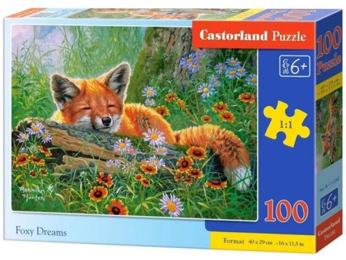 Castorland 100 db-os puzzle - Foxy Dreams (B-111244)