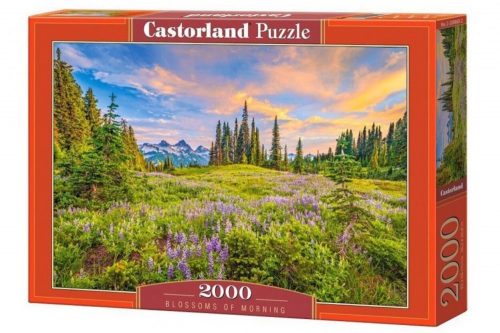 Castorland C-200863 - Reggeli virágok - 2000 db-os puzzle