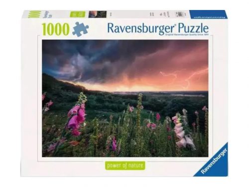Puzzle 1000 db - Vihar előtt
