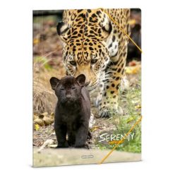 Ars Una Ars Una Serenity-Jaguar A/4 gumis dosszié