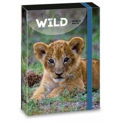   Ars Una Ars Una Máté Bence The Eyes of the Wild - Lion A/4 füzetbox