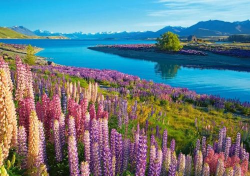 Castorland Tekapo-tó, Új-Zéland - 500 db-os puzzle