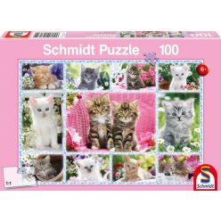 Schmidt Puzzle Kittens 100db (56135)