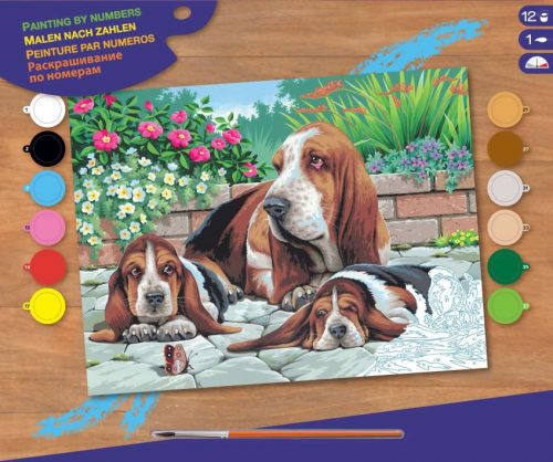 Mammut Bassethunde