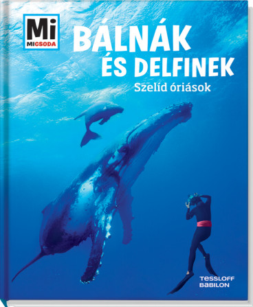 Bálnák és delfinek - Szelíd