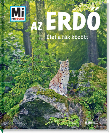 Az erdő - Élet a fák között