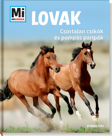 Lovak - Csintalan csikók és