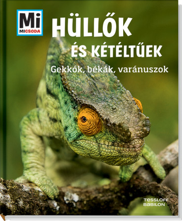 Hüllők és kétéltűek