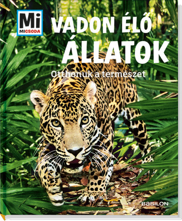 Vadon élő állatok - Otthonuk a