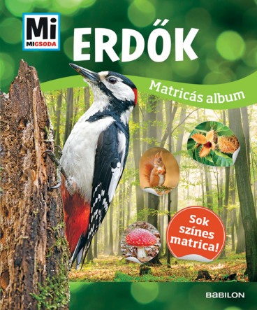 Matricás atlasz - Erdők