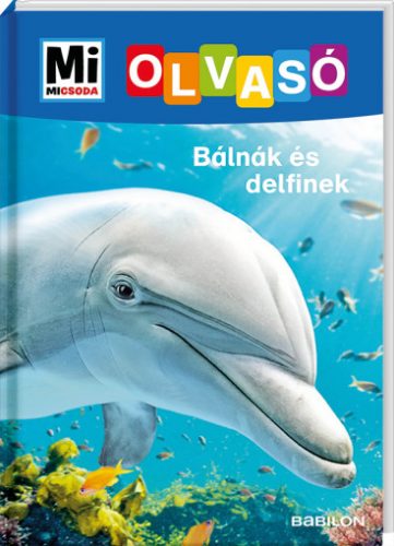 MM Olvasó Bálnák és delfinek