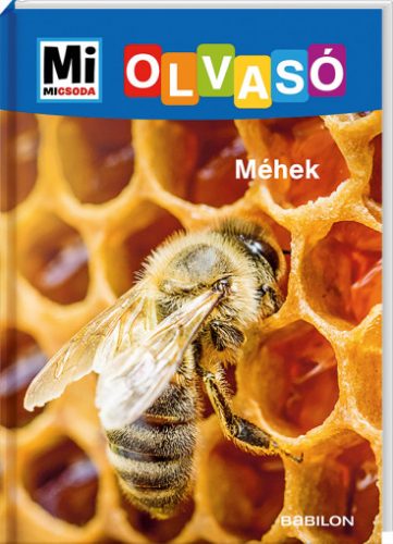 MM Olvasó Méhek