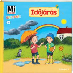 MM Ovis - Időjárás