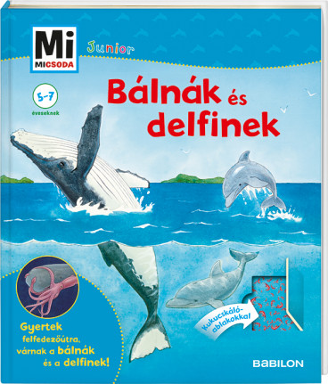 Junior Bálnák és delfinek