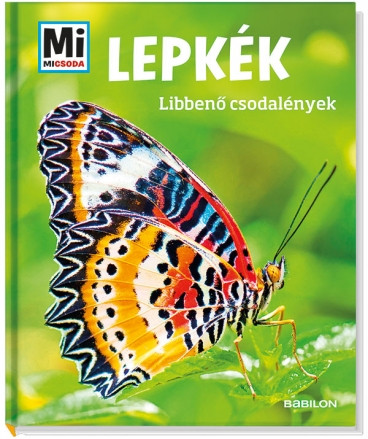 Lepkék