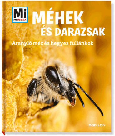 Méhek és darazsak