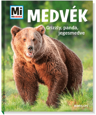 Medvék - Grizzli, panda