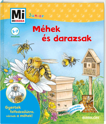 Junior Méhek és darazsak