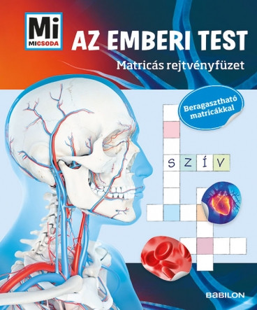 Matricás rejtvény-Emberi test