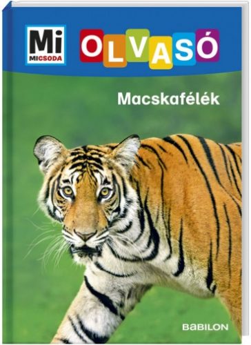 MM Olvasó Macskafélék