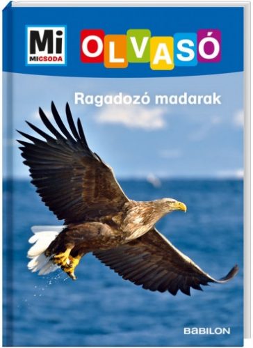 MM Olvasó Ragadozó madarak