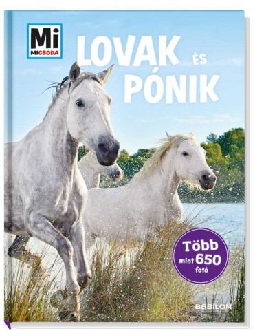 Lovak és pónik- album