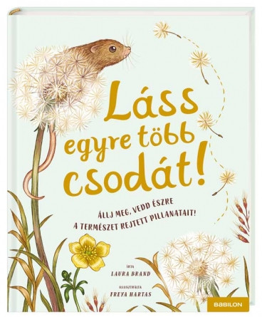 Láss egyre több csodát!