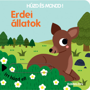 Húzd és mondd 10- Erdei állato