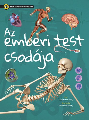 Szórakoztató tudomány - Az emberi test csodája