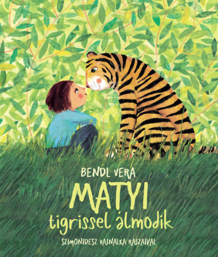 Matyi és a tigris - Matyi tigrissel álmodik